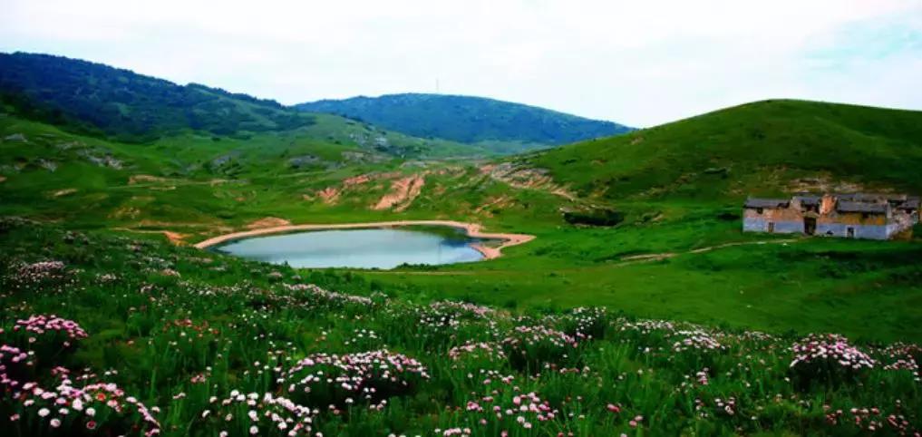 山西晋城析城山,极目胭粉遍草甸