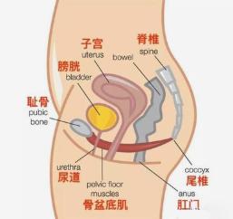 生完孩子有必要做产后修复吗,守护家人月子中心好吗