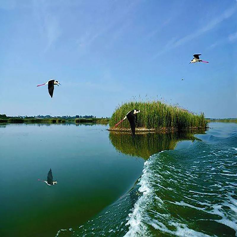 渭南大荔哪里好玩的地方,渭南大荔周边环境优美的地方