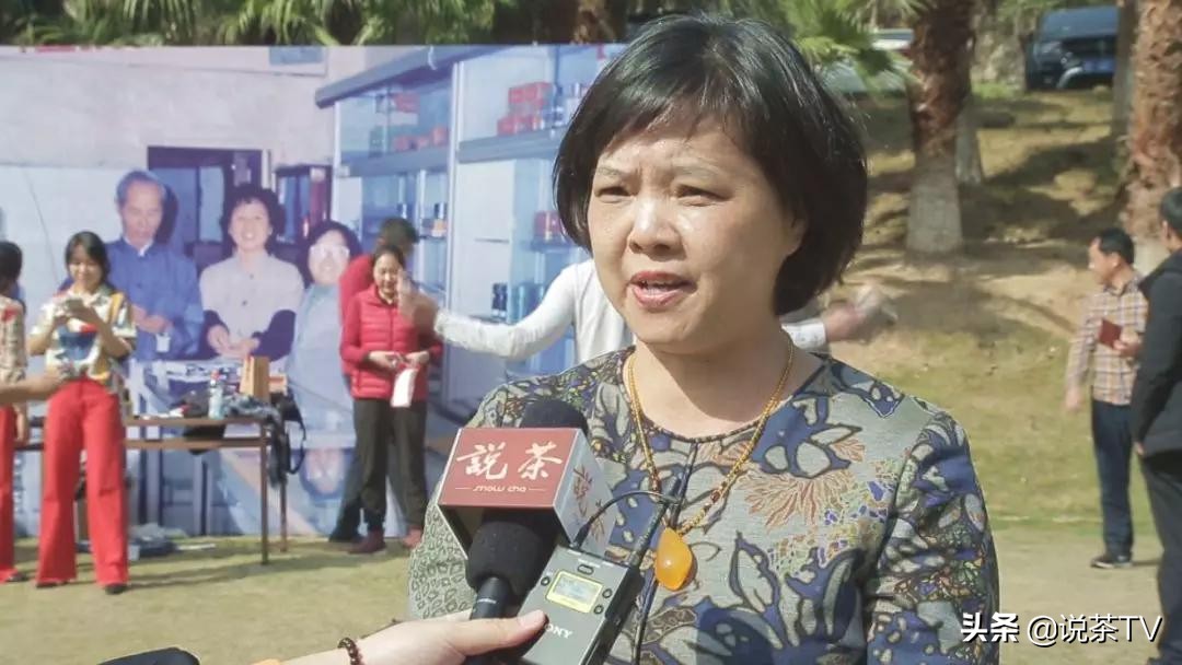 中茶海堤茗茶节,福建中茶海堤