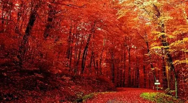 中国最美县城云南有几个,中国最美的100个地方云南