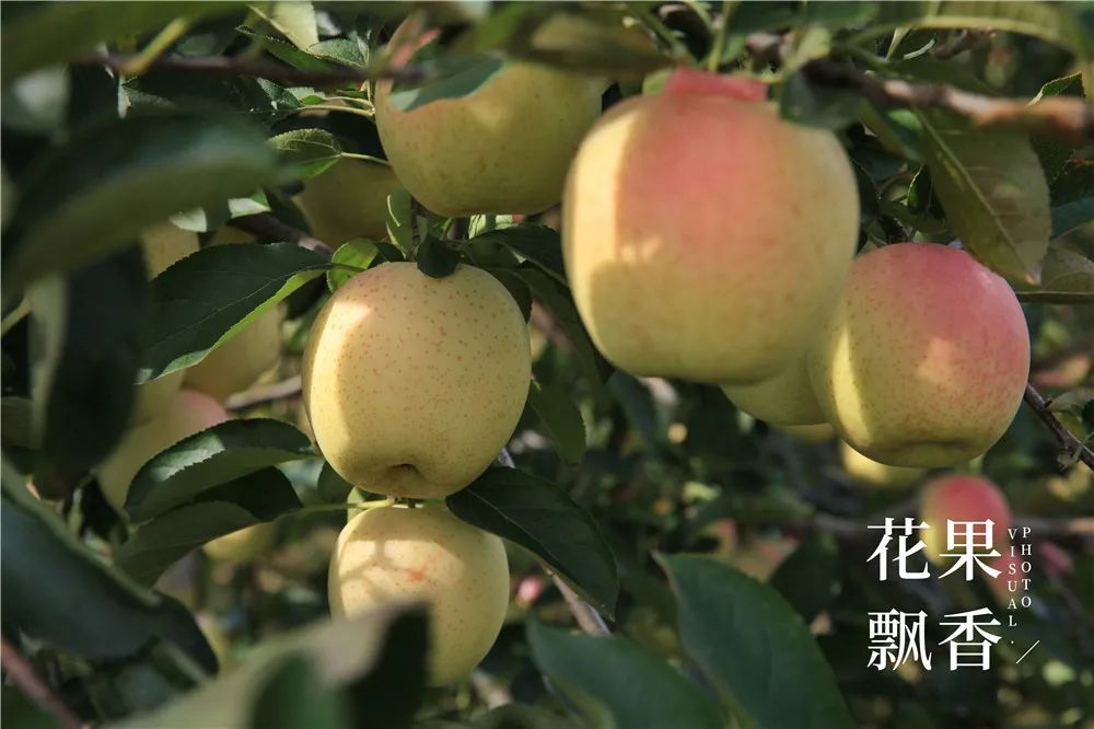 一箱水果能赚多少钱,一箱水果利润多少