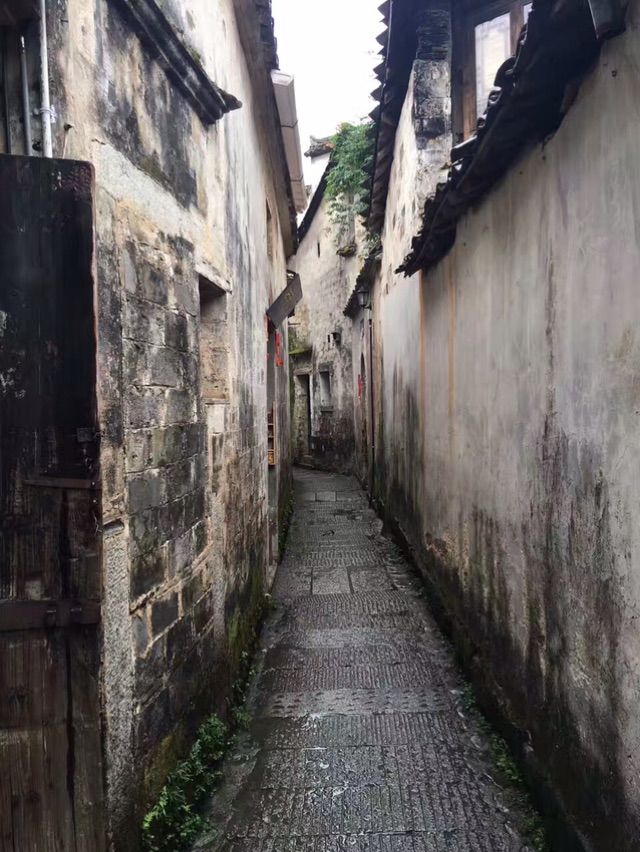 水墨宏村自由行攻略,水墨宏村风景总要自己去看