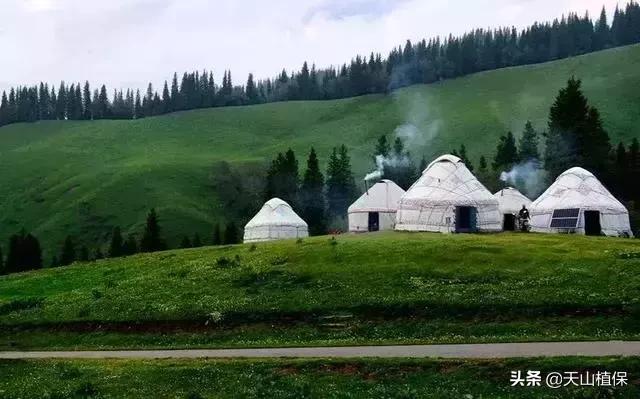 大美新疆百里画廊,北疆千里画廊打卡点