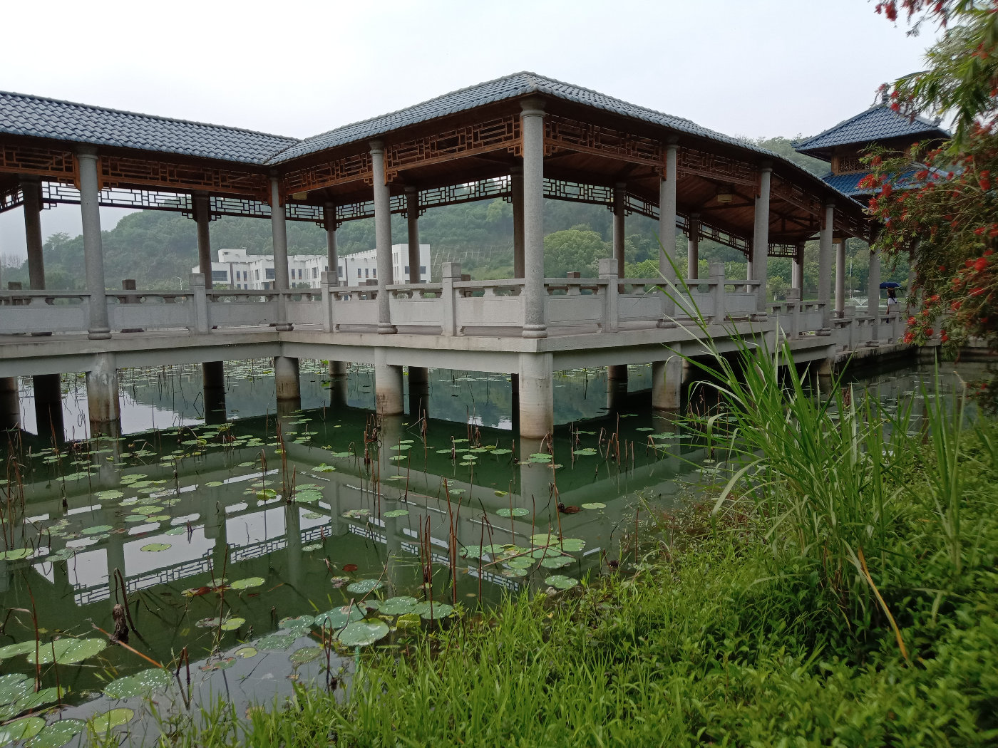 福州大学就像一座大公园，风景美到爆！最美的世界一流学科院校