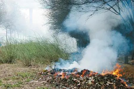 怀孕初期胚胎自己流掉后怎么处理,那些流产后的胎儿去了哪里
