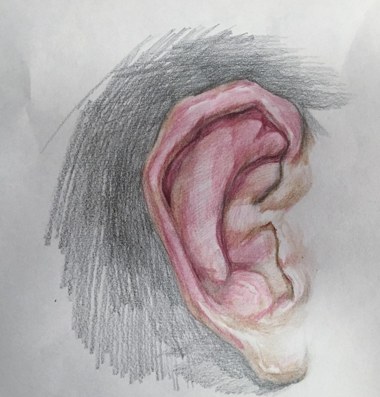 脸红肿掉头发口腔溃疡是什么病,脸长溃疡