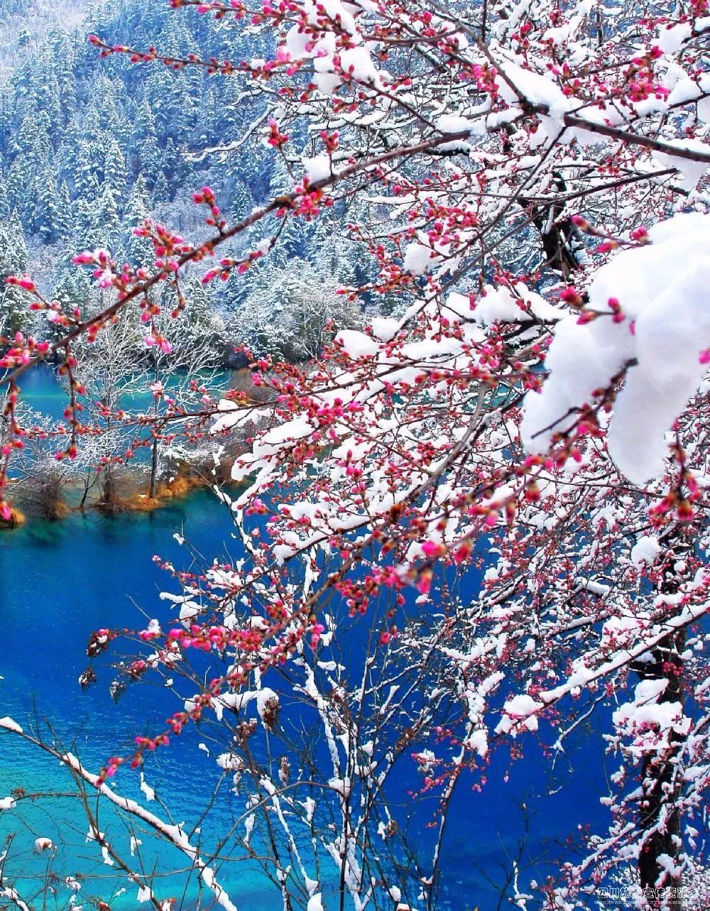 九寨沟跟团2天旅游团报价,重庆九寨沟旅游团正常价格