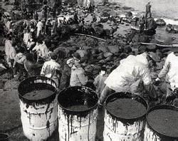 日本米糠油,日本米糠油事件对环境的影响