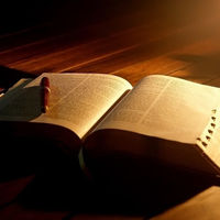 种农高手,农业高手