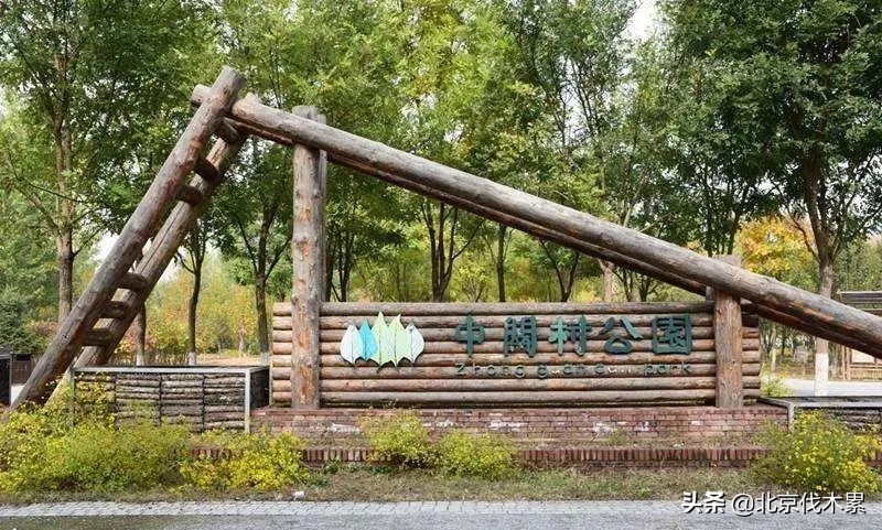 遛狗遛娃两不误这样养狗真是有趣,简直是周末遛娃遛狗的绝佳场地