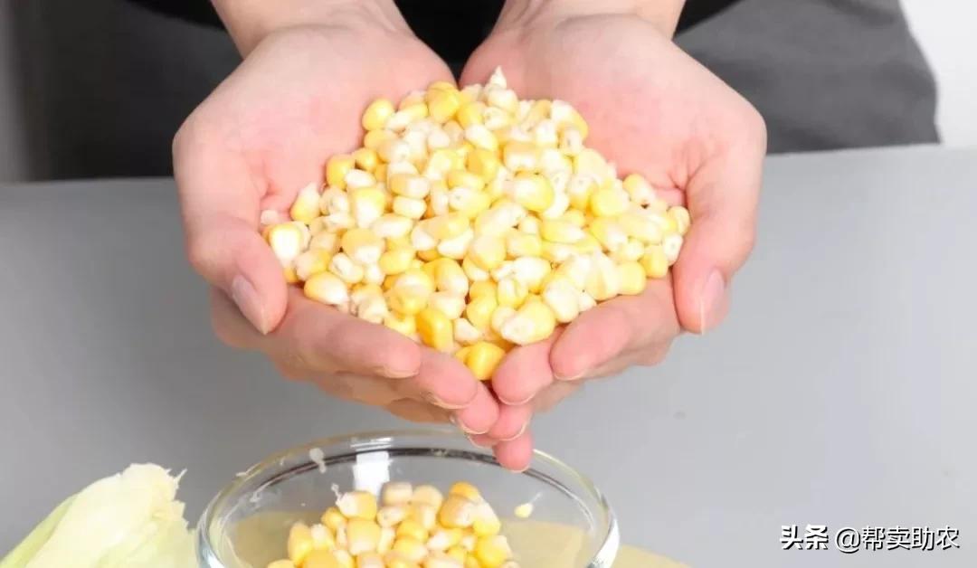 正宗爆浆水果玉米,甜脆水果玉米爆浆