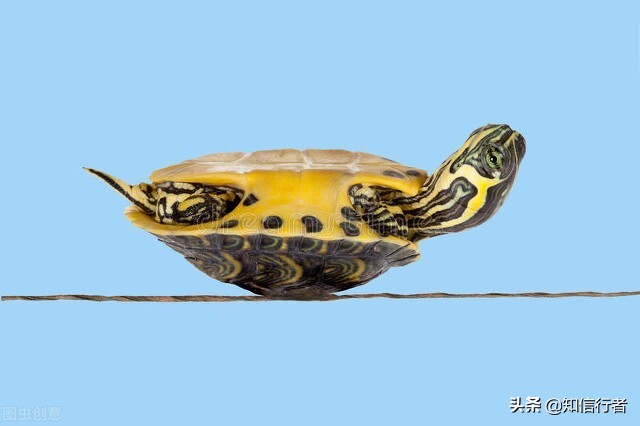 逆向思维去解决问题,逆向思维要懂得如何去用才有效