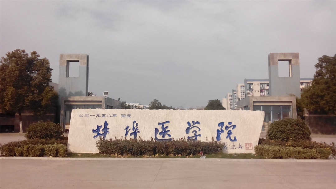 安医大临床医学院在安徽排名,安徽省安医大在省内排名