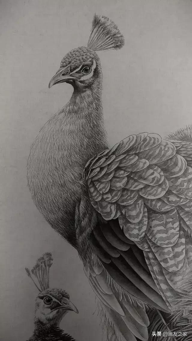 陈松岩工笔白描画全集,陈松岩工笔国画