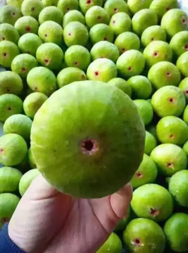 山东荣成定居好不好,外地人荣成落户条件