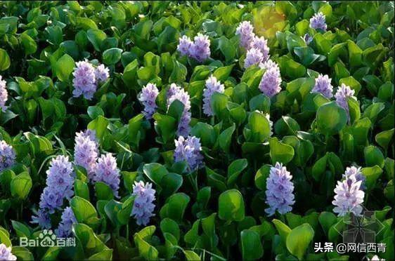 全民国家安全教育日的感受和看法,全民国家安全教育日筑牢国家安全