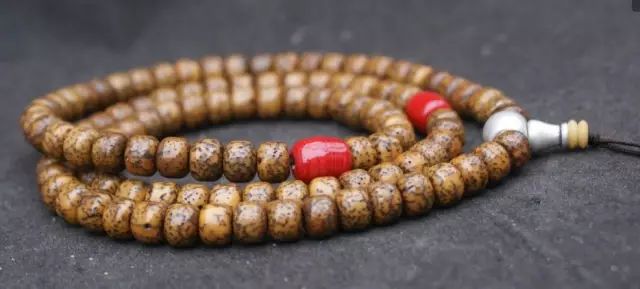 星月菩提放在通风的地方能氧化吗,星月菩提要先氧化吗