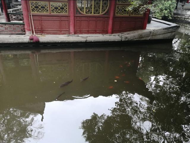 自驾成都西安华山三天旅游攻略,西安到华山一日游自驾游攻略