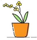 双阳区结婚礼物,长春双阳礼物