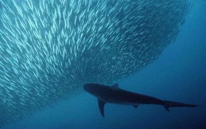股市趋势结构有哪几种,股市六种趋势指标