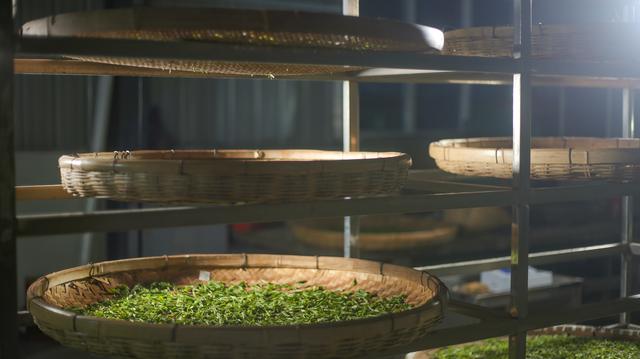 4.5米的台钓竿哪种较轻,4.5米台钓竿优点缺点