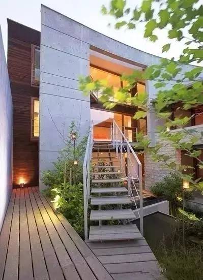 北方庭院室外耐寒植物,庭院驱蚊效果最好植物