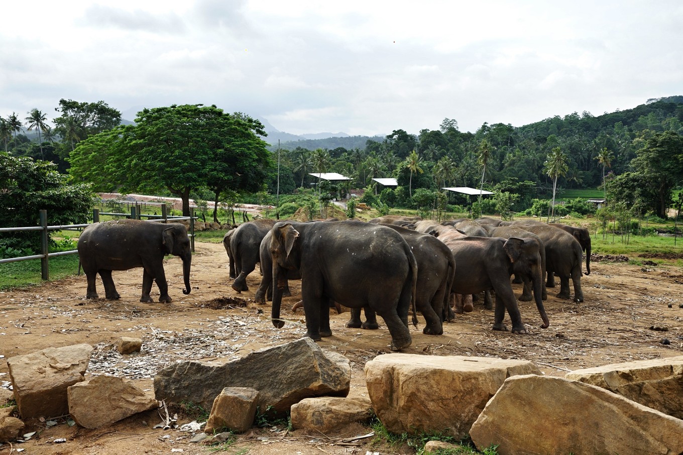带着甜甜奶茶香的斯里兰卡小环岛之旅+两家安缦全体验