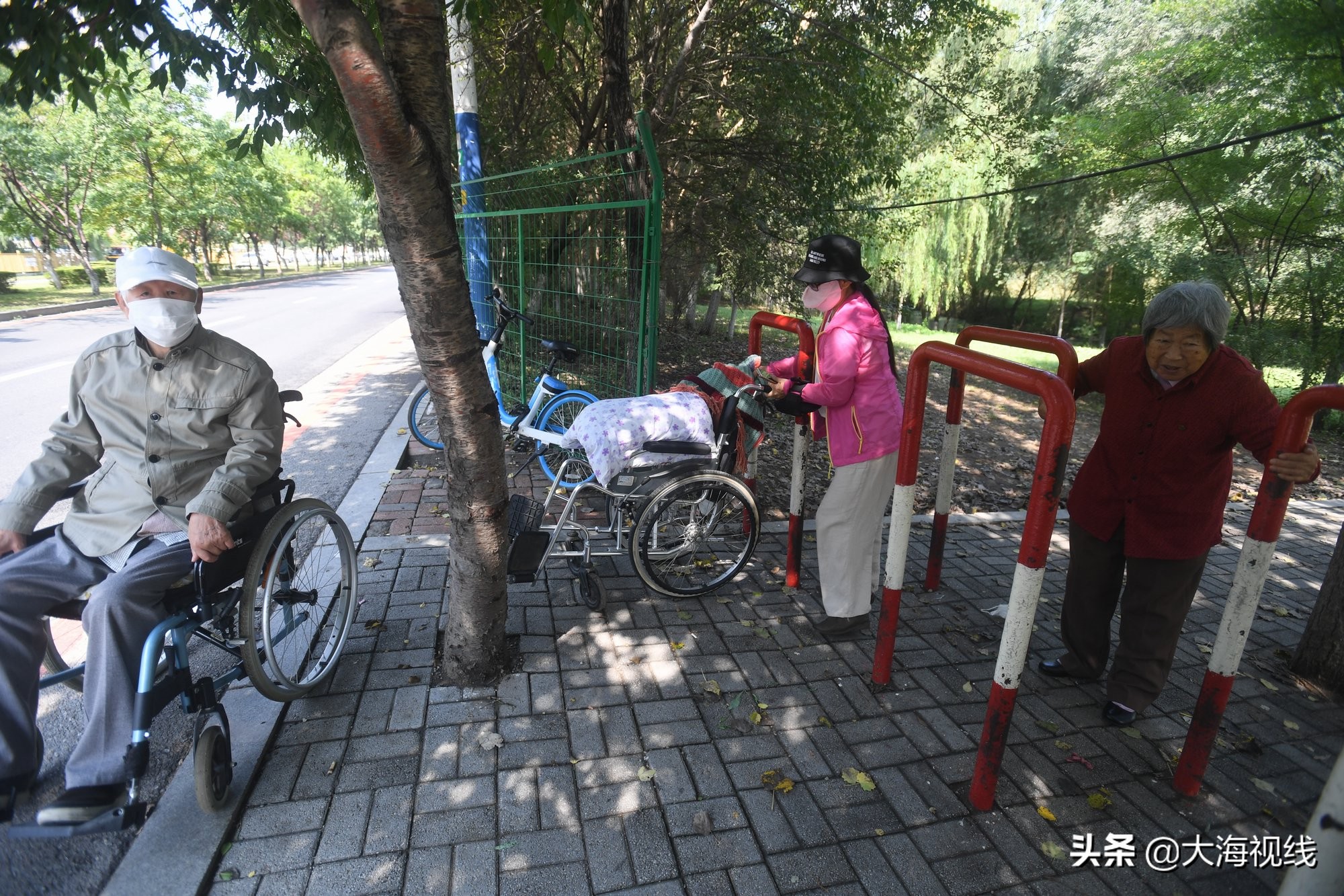 沈阳上演孝父敬母一幕任女士告诉你啥叫“我是你的腿”