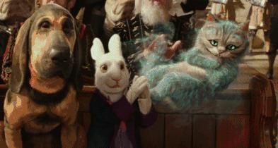 dg品牌实体店都下架了吗,dg品牌真的会降价吗