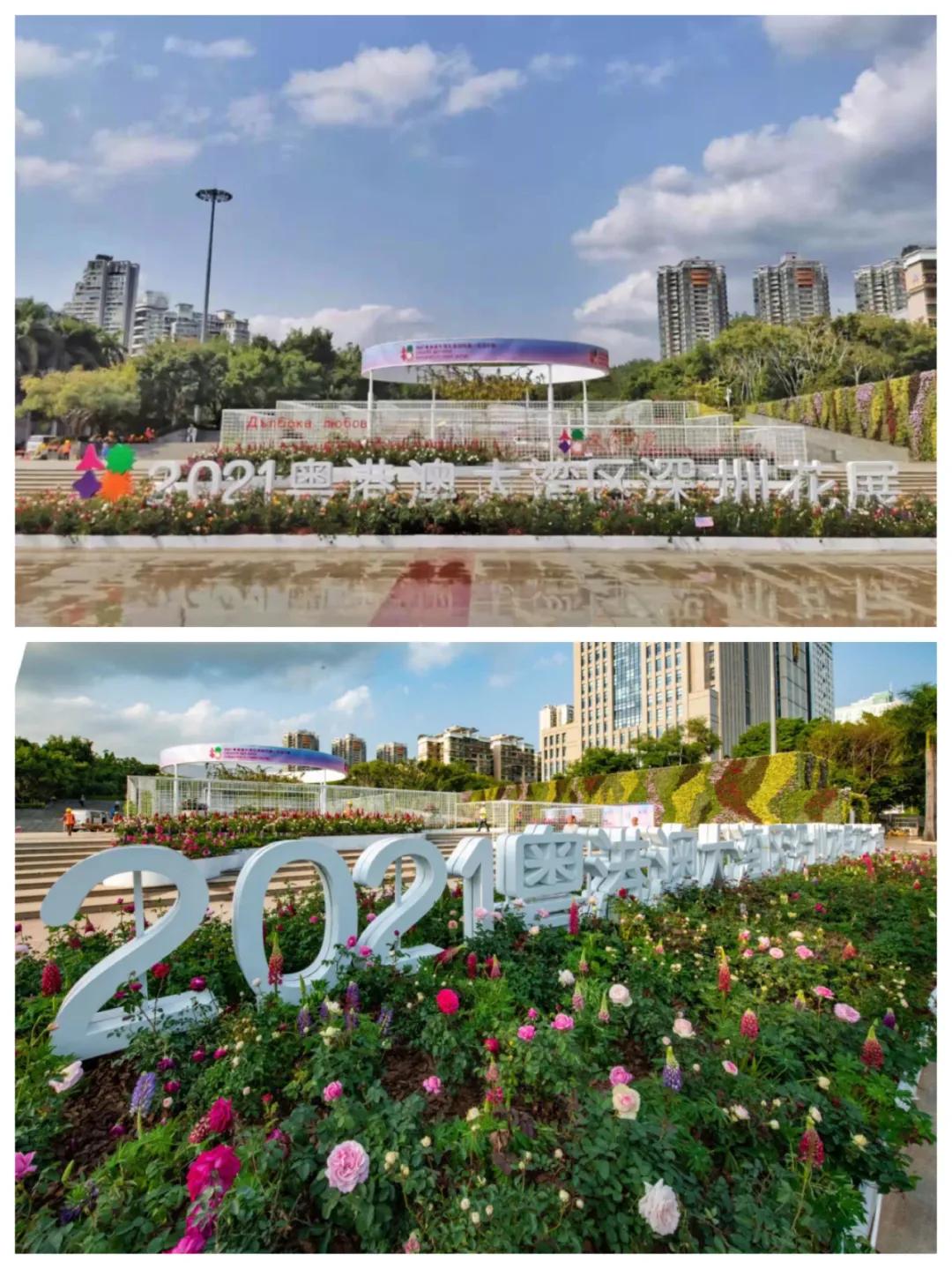 深圳花展2019年12月时间表,深圳第一场春天花展