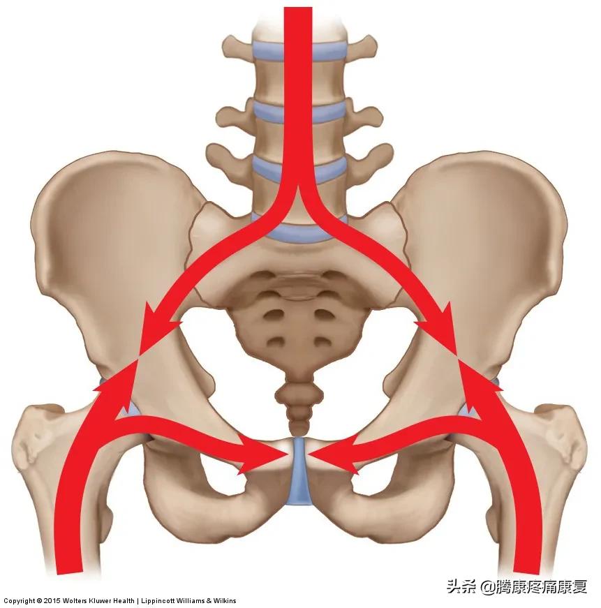 骶髂关节疼痛一招解决,缓解骶髂关节疼痛的六个训练动作