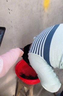 搞笑gif嫂子包饺子,搞笑gif姑娘你这次真的是玩过头了