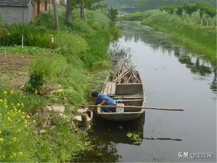 著名旅媒拍摄的宝应西安丰人文！你觉得怎样？