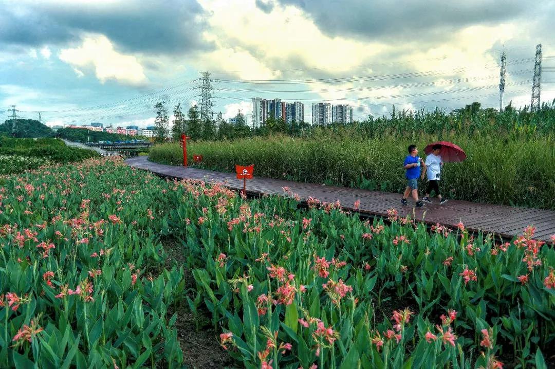 深圳遛娃必去景点免费过年,深圳适合儿童游玩的公园