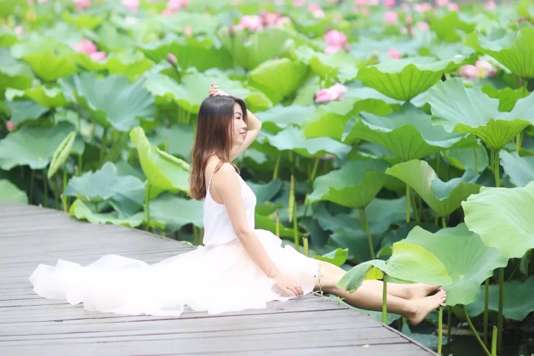 沙家浜旅游民宿有哪些,三月最适合去的最美民宿