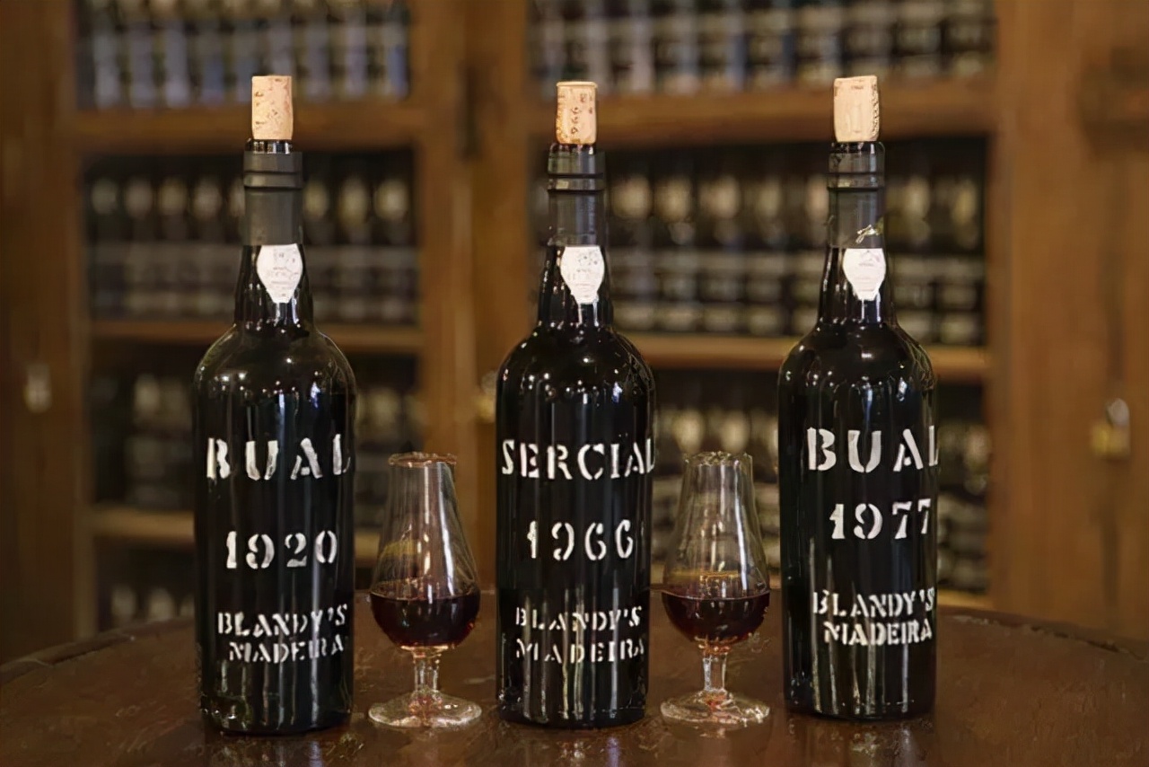 葡萄酒醒酒指南值得收藏,五分钟葡萄酒知识讲解