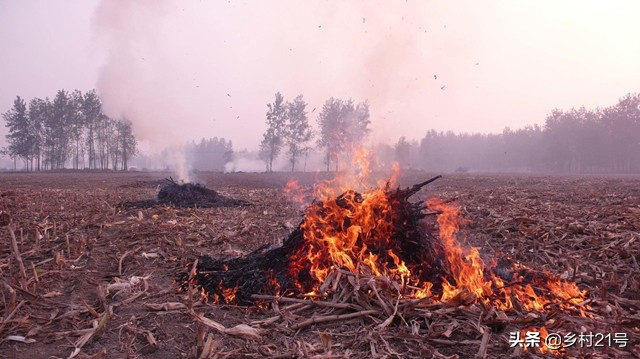 青储玉米秸秆废水处理,玉米秸秆发霉了怎么处理