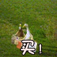 10款平价好用的腮红推荐一下,18色腮红推荐平价学生