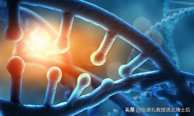 西班牙科学家解读新冠,西班牙最新研究新冠源头