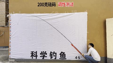 想要轻硬挺的8.1的鱼竿有什么推荐,两百元轻硬挺的小综合鱼竿4.5米