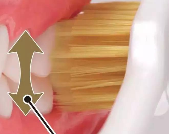 鏃ユ湰绁栧瓩涓変唬,鏃ユ湰濂堣壇鐗欏埛