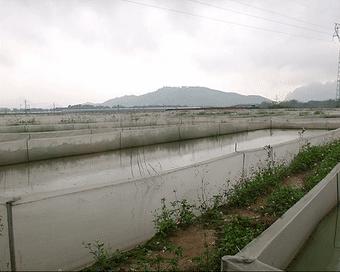 呱呱~石潭有个“青蛙王子”，每天都与500万只青蛙玩耍！