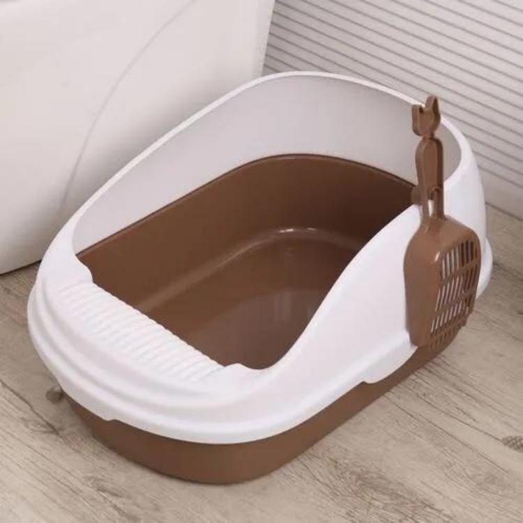 十大必买猫咪用品,这六种猫咪千万别买