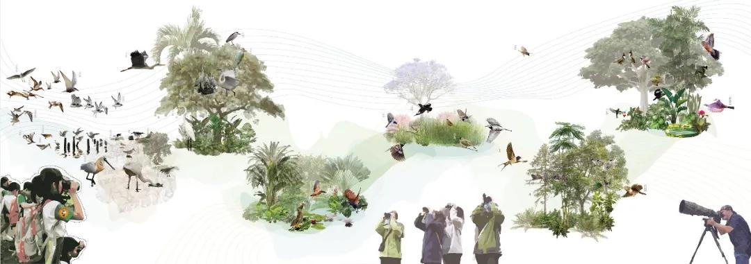 深圳湾超级总部基地绿化,深圳湾超级基地