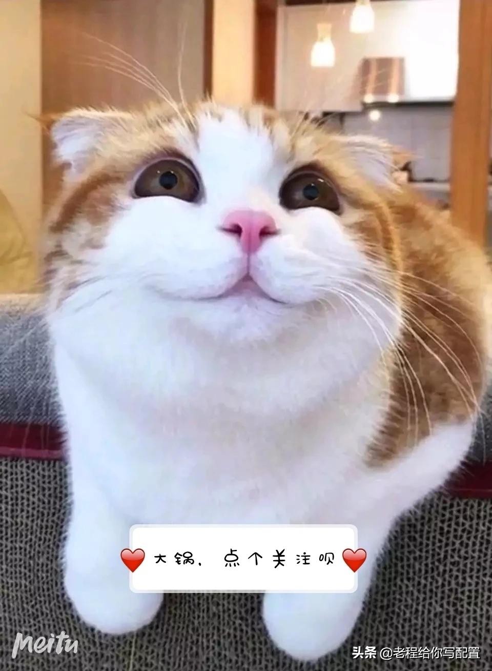 淘宝新手入门买什么牌子的电脑,怎样在淘宝购买电脑最合适