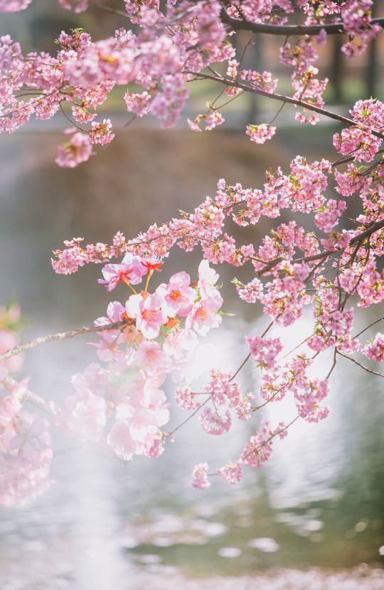 备考作文写人叙事,备考申论写作技巧