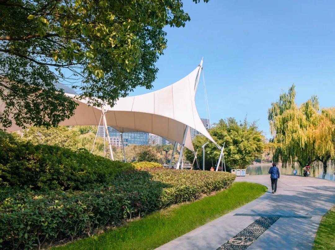 合肥市政务区的天鹅湖介绍,合肥天鹅湖设计