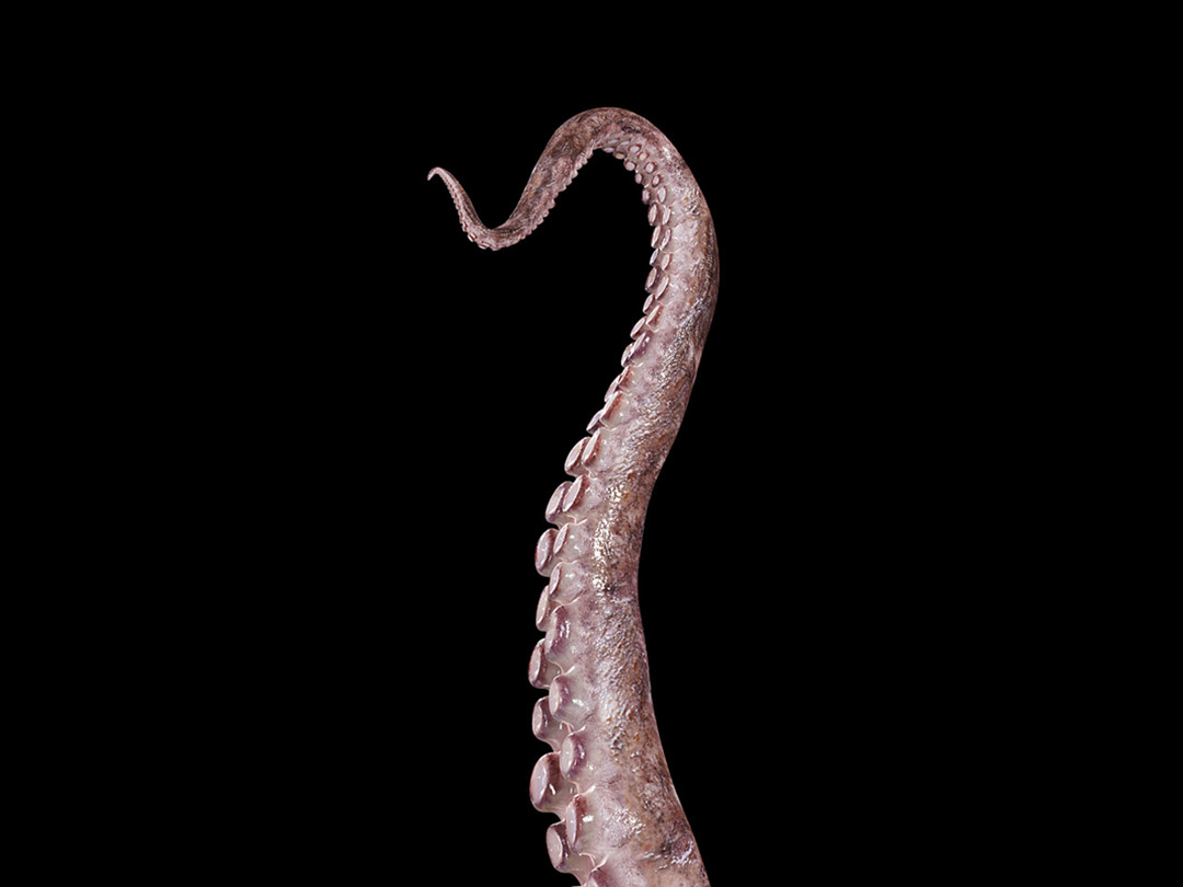 <html>
<head><title>502BadGateway</title></head>
<body>
<center><h1>502BadGateway</h1></center>
<hr><center>nginx</center>
</body>
</html>
<!--apaddingtodisableMSIEandChromefriendlyerrorpage-->
<!--apaddingtodisableMSIEandChromefriendlyerrorpage-->
<!--apaddingtodisableMSIEandChromefriendlyerrorpage-->
<!--apaddingtodisableMSIEandChromefriendlyerrorpage-->
<!--apaddingtodisableMSIEandChromefriendlyerrorpage-->
<!--apaddingtodisableMSIEandChromefriendlyerrorpage-->
