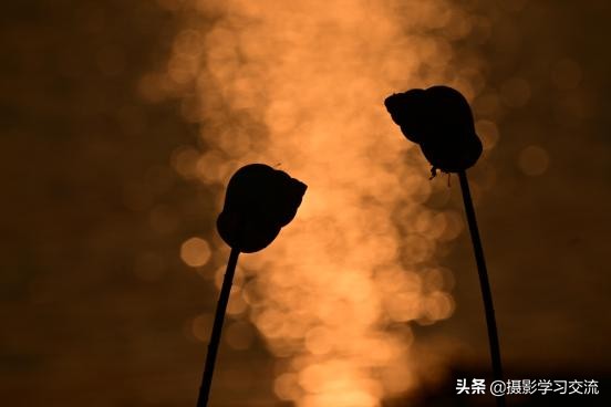 尼康z50延时怎么设置,尼康z50深度使用体验